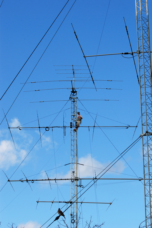 TowerWork_0786